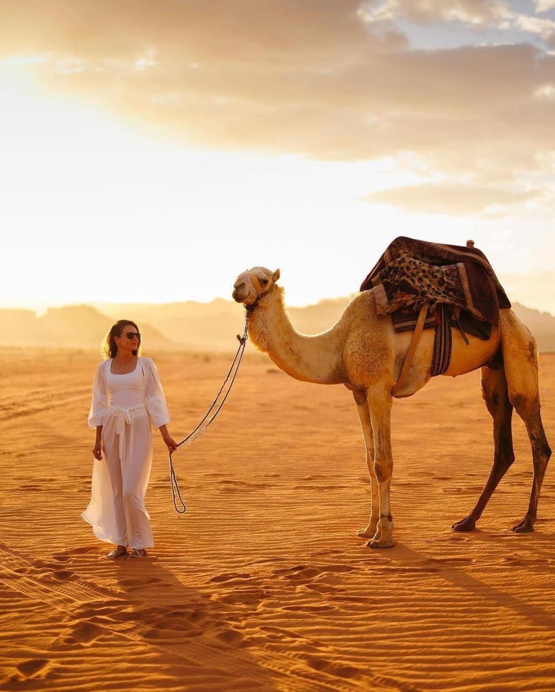 Tamim Luxury Wadi Rum Camp Kültér fotó